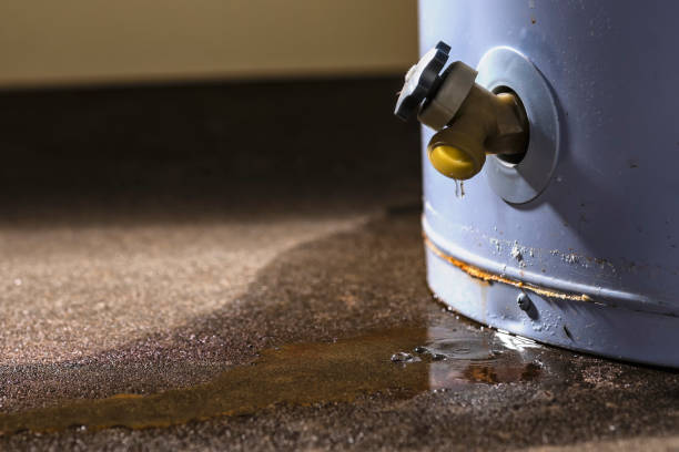 Best Water damage contractors near me  in Kensington, MD
