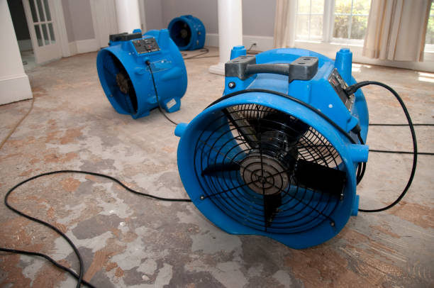 Water damage restoration experts in Kensington, MD