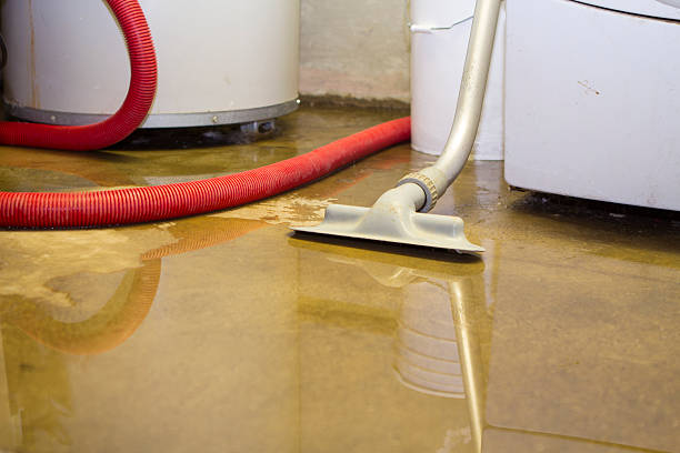 Professional Water damage restoration in Kensington, MD