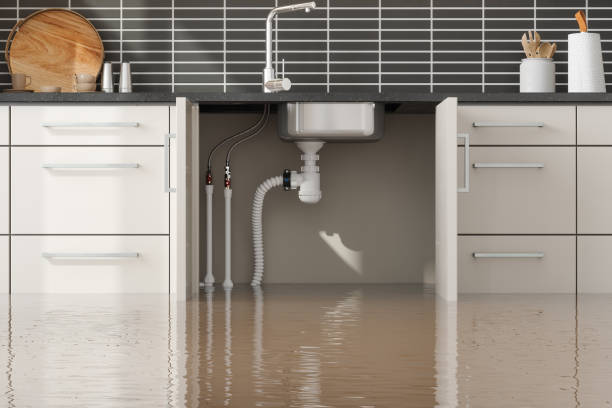 Best Water damage restoration experts  in Kensington, MD