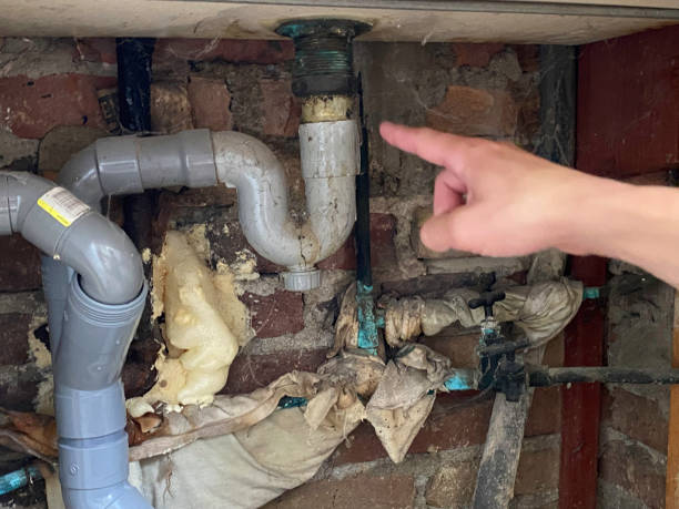 Best Water damage cleanup near me  in Kensington, MD