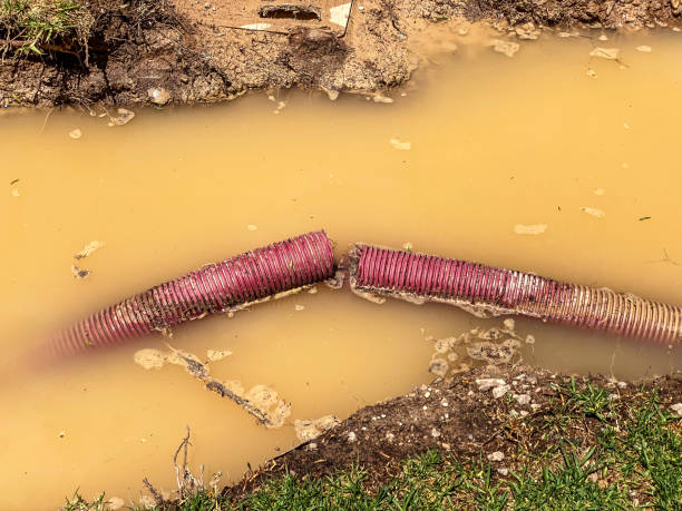 Best Water damage restoration near me  in Kensington, MD