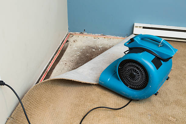 24/7 water damage repair in Kensington, MD